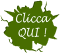Super Offerta € 75,00 Manutenzioni + Fumi Caldaia